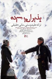 Modest Reception 2013 on netflix