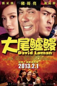 David Loman 2013 on netflix