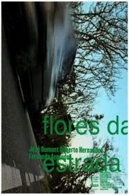 Flores da Estrada 2003 on netflix