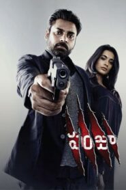 Panjaa 2011 on netflix