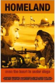 Homeland 2008 on netflix
