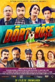 Dört Köşe 2017 on netflix