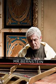 Mr Bernstein 2016 on netflix