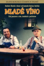 Young Wine 1986 on netflix