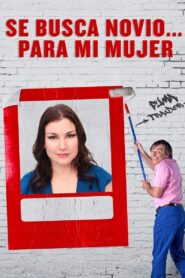 Se busca novio… para mi mujer 2017 on netflix