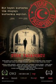 Turkish Passport 2011 on netflix