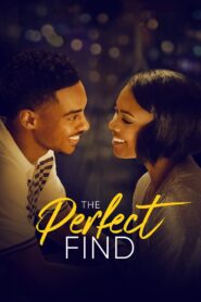 The Perfect Find 2023 on netflix