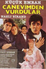 Can Evimden Vurdular 1990 on netflix