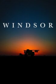 Windsor 2016 on netflix