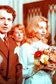 Point of View 1980 on netflix