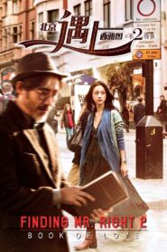 Finding Mr. Right 2 2016 on netflix