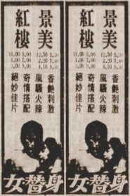女替身 1987 on netflix