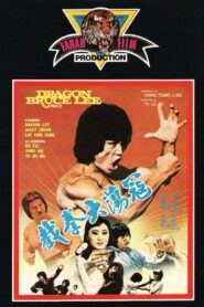 Dragon Bruce Lee, Part II 1981 on netflix