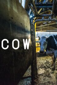 Cow 2022 on netflix