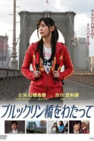 Across Brooklyn Bridge 2011 on netflix