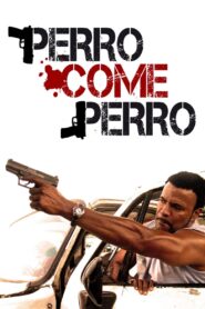 Dog Eat Dog 2008 on netflix