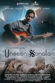 Unseen Sonata 2014 on netflix