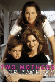 Two Mothers for Zachary 1996 on netflix