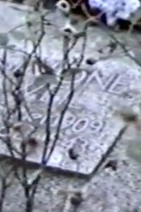 Simone Weil Avenue 1992 on netflix
