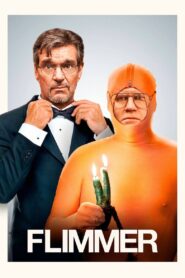 Flicker 2012 on netflix