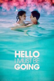 Hello I Must Be Going 2012 on netflix