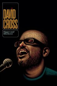 David Cross: Bigger and Blackerer 2010 on netflix