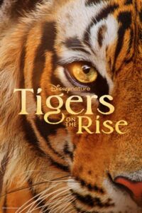 Tigers on the Rise 2024 on netflix