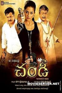 Chandi: The Power of Woman 2013 on netflix