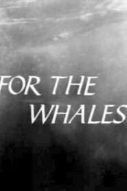 For The Whales 1989 on netflix