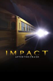Impact After the Crash 2013 on netflix
