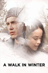 A Walk in Winter 2015 on netflix