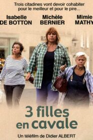 3 Filles en cavale 2011 on netflix