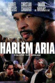Harlem Aria 1999 on netflix