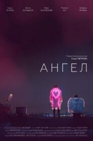 Angel 2020 on netflix