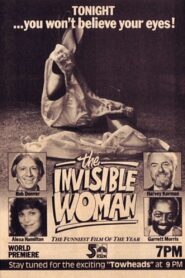 The Invisible Woman 1983 on netflix