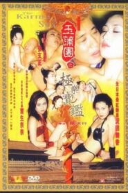 The Karma of Sex 1999 on netflix