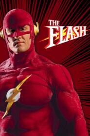 The Flash 1990 on netflix