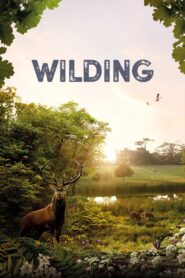 Wilding 2024 on netflix