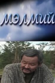 Insight 2002 on netflix