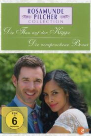 The Engaged Woman 2013 on netflix