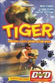 Tiger 1997 on netflix