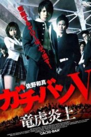 ガチバン V 竜虎炎上 2009 on netflix