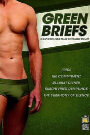 Green Briefs 2013 on netflix