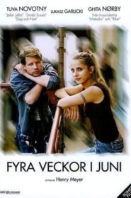 Four Weeks in June 2005 on netflix