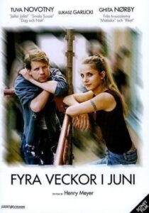 Four Weeks in June 2005 on netflix