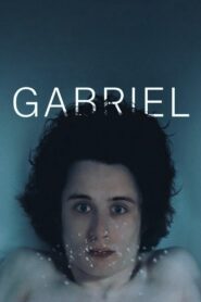 Gabriel 2014 on netflix