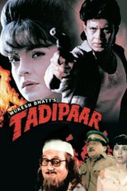 Tadipaar 1993 on netflix
