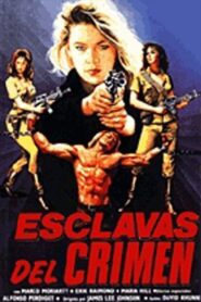 Slave of Crime 1987 on netflix