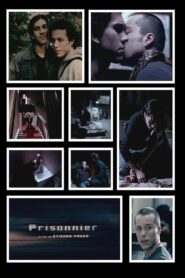 Prisoner 2004 on netflix