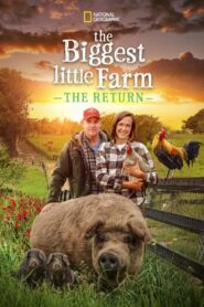The Biggest Little Farm: The Return 2022 on netflix